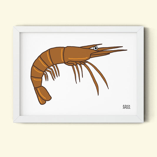Shrimp (Print)